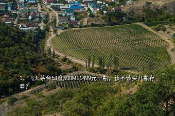 1、飛天茅臺(tái)53度500ML1499元一瓶，該不該買幾瓶存著？