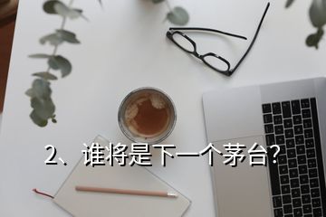 2、誰將是下一個茅臺？