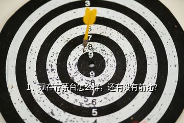 1、現(xiàn)在存茅臺怎么樣，還有沒有前途？