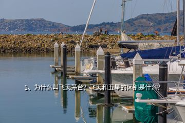 1、為什么叫飛天茅臺(tái)？飛天和五星的區(qū)別是什么？