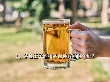 1、茅臺王子酒和茅臺迎賓酒哪個好？