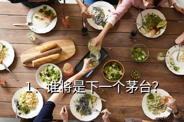 1、誰將是下一個茅臺？