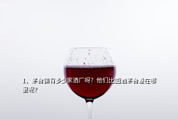 1、茅臺鎮(zhèn)有多少家酒廠呀？他們比國酒茅臺差在哪里呢？