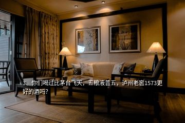 3、你們喝過比茅臺飛天，五糧液普五，瀘州老窖1573更好的酒嗎？