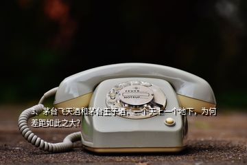 3、茅臺飛天酒和茅臺王子酒，一個天上一個地下，為何差距如此之大？