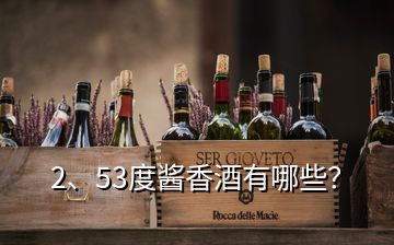 2、53度醬香酒有哪些？