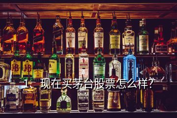 1、現(xiàn)在買茅臺(tái)股票怎么樣？