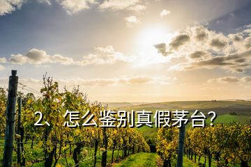 2、怎么鑒別真假茅臺？