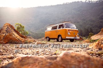 1、茅臺王子酒有哪幾種？茅臺王子酒是什么工藝生產(chǎn)的？