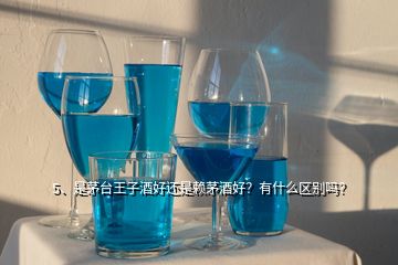 5、是茅臺王子酒好還是賴茅酒好？有什么區(qū)別嗎？