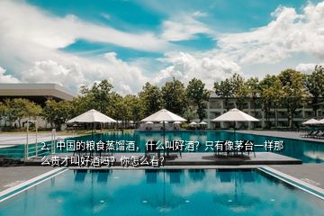 2、中國的糧食蒸餾酒，什么叫好酒？只有像茅臺一樣那么貴才叫好酒嗎？你怎么看？