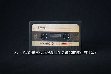 3、你覺(jué)得茅臺(tái)和五糧液哪個(gè)更適合收藏？為什么？