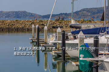 1、茅臺(tái)飛天酒和茅臺(tái)王子酒，一個(gè)天上一個(gè)地下，為何差距如此之大？