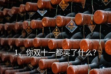 1、你雙十一都買了什么？