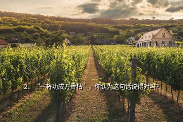 2、“一將功成萬骨枯”，你認為這句話說得對嗎？