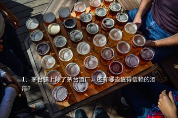 1、茅臺(tái)鎮(zhèn)上除了茅臺(tái)酒廠，還有哪些值得信賴的酒廠？