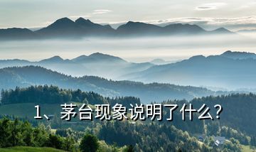 1、茅臺(tái)現(xiàn)象說(shuō)明了什么？