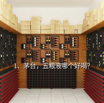 1、茅臺，五糧液哪個好喝？