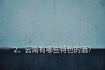 2、云南有哪些特色的酒？