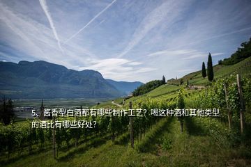 5、醬香型白酒都有哪些制作工藝？喝這種酒和其他類型的酒比有哪些好處？