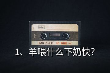 1、羊喂什么下奶快？