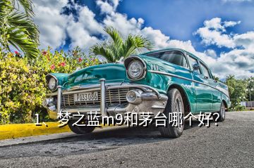 1、夢(mèng)之藍(lán)m9和茅臺(tái)哪個(gè)好？