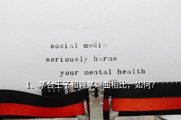 1、茅臺王子和賴茅端曲相比，如何？