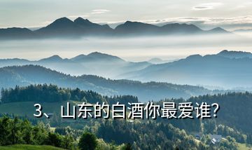 3、山東的白酒你最?lèi)?ài)誰(shuí)？