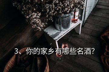 3、你的家鄉(xiāng)有哪些名酒？