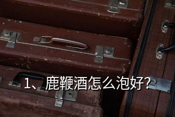 1、鹿鞭酒怎么泡好？