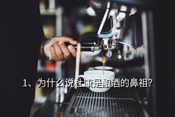 1、為什么說杜康是釀酒的鼻祖？