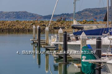 4、現(xiàn)在的年輕人不喝白酒，那未來高端白酒怎么辦？