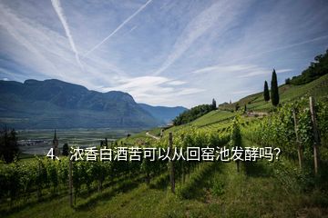 4、濃香白酒苦可以從回窯池發(fā)酵嗎？
