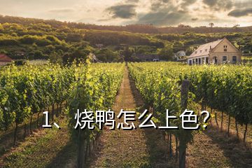 1、燒鴨怎么上色？