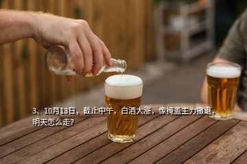 3、10月13日，截止中午，白酒大漲，像掩蓋主力撤退，明天怎么走？