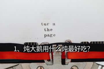 1、燉大鵝用什么燉最好吃？