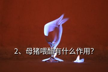 2、母豬喂醋有什么作用？