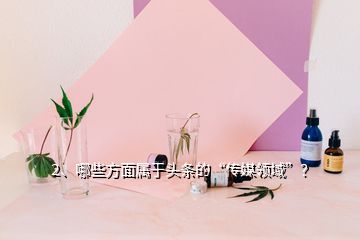 2、哪些方面屬于頭條的“傳媒領(lǐng)域”？