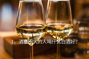 1、酒量不大的人喝什么白酒好？
