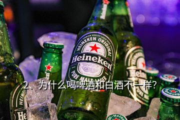 2、為什么喝啤酒和白酒不一樣？