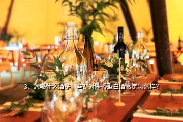 3、您喝什么酒多一些？對(duì)醬香型白酒感覺(jué)怎么樣？
