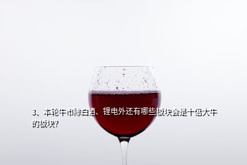3、本輪牛市除白酒、鋰電外還有哪些板塊會是十倍大牛的板塊？