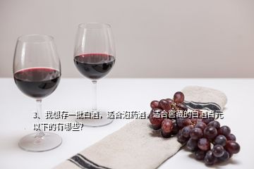 3、我想存一批白酒，適合泡藥酒，適合窖藏的白酒百元以下的有哪些？