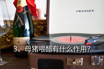 3、母豬喂醋有什么作用？
