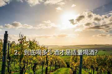 2、到底喝多少酒才是適量喝酒？