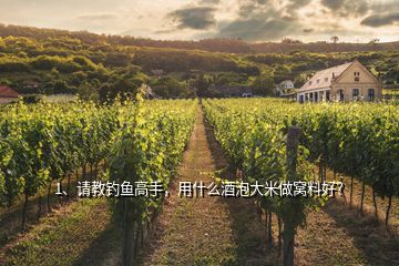 1、請(qǐng)教釣魚高手，用什么酒泡大米做窩料好？