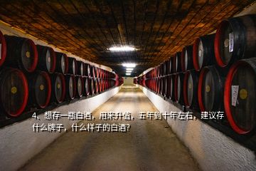 4、想存一瓶白酒，用來(lái)升值，五年到十年左右，建議存什么牌子，什么樣子的白酒？
