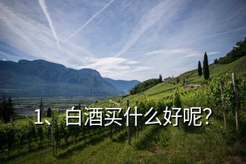 1、白酒買什么好呢？