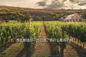 1、想長期儲存一些白酒，有什么推薦的嗎？