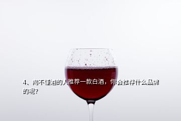 4、向不懂酒的人推薦一款白酒，你會推薦什么品牌的呢？